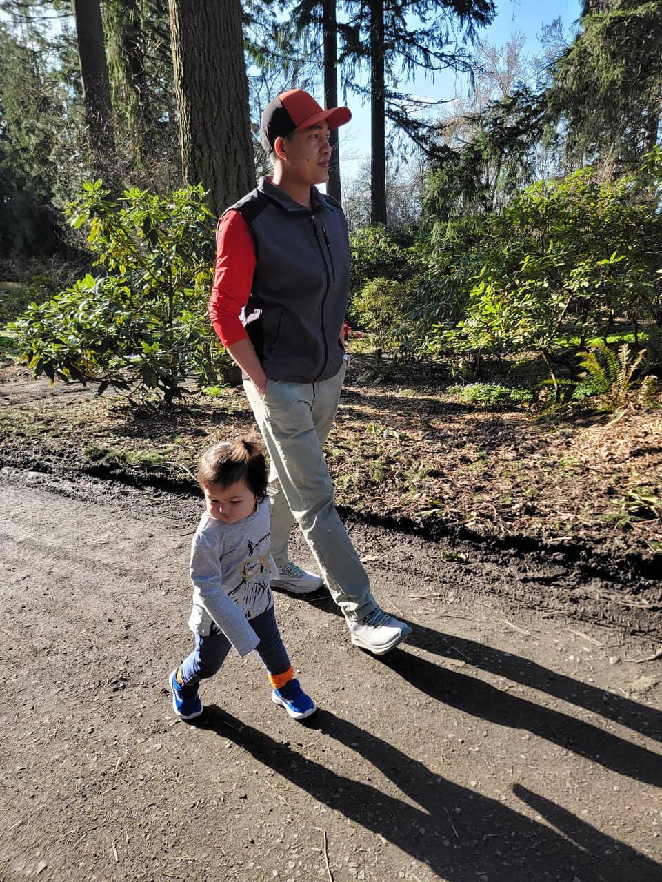 Wooded Hiking Trails