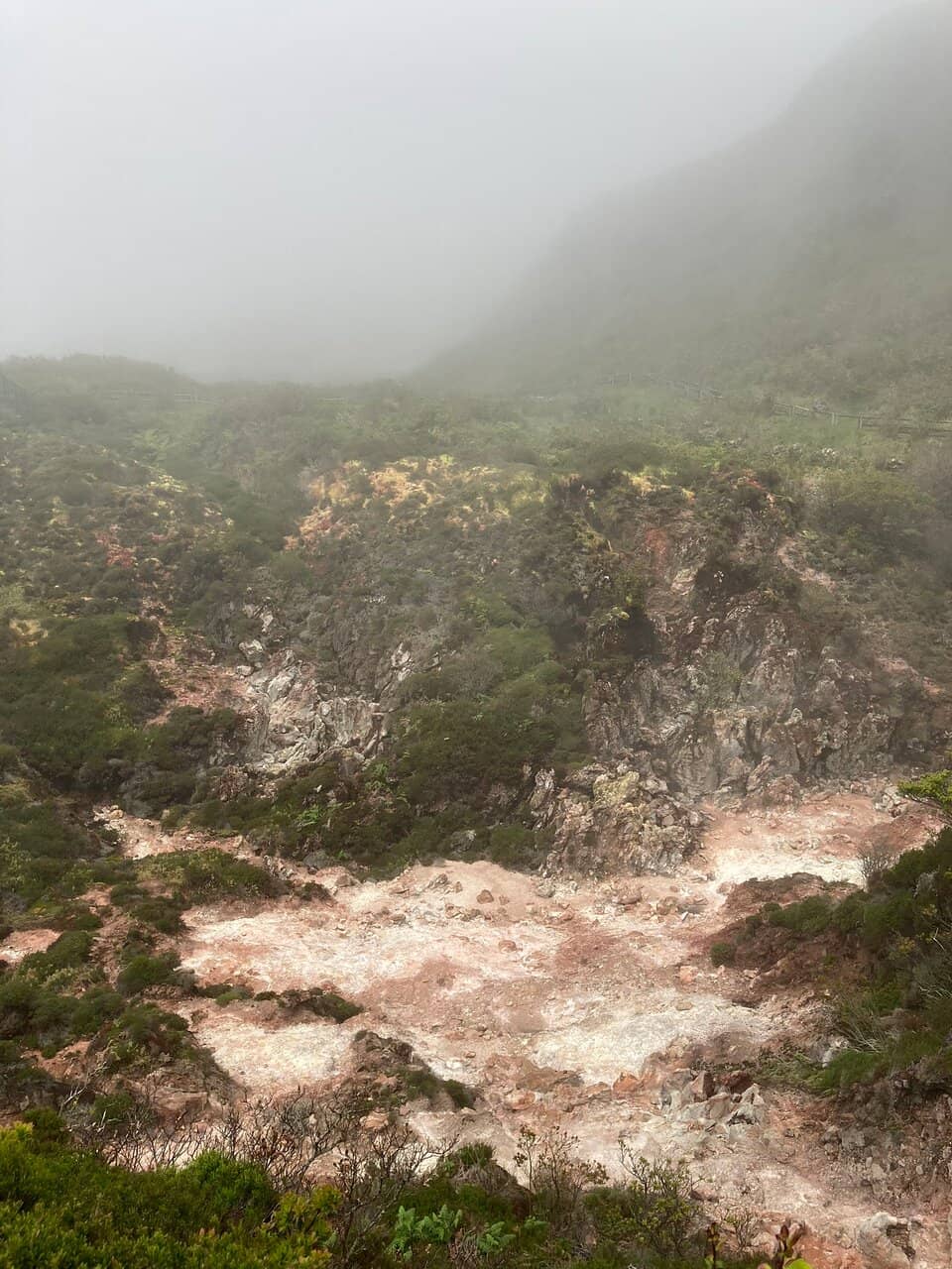 Scenic Walking Trails