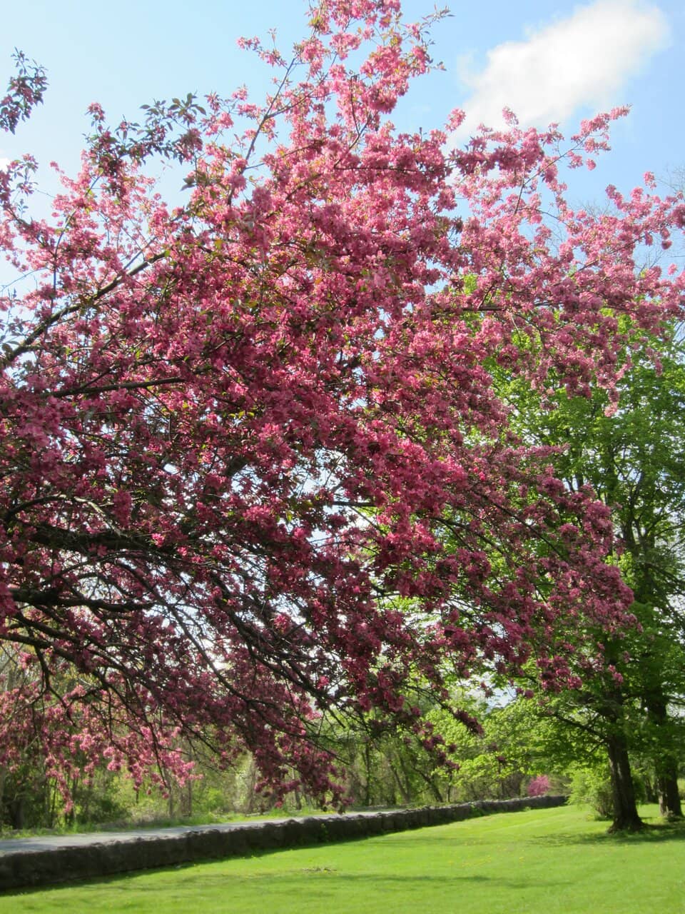 Unique Cultural Performances