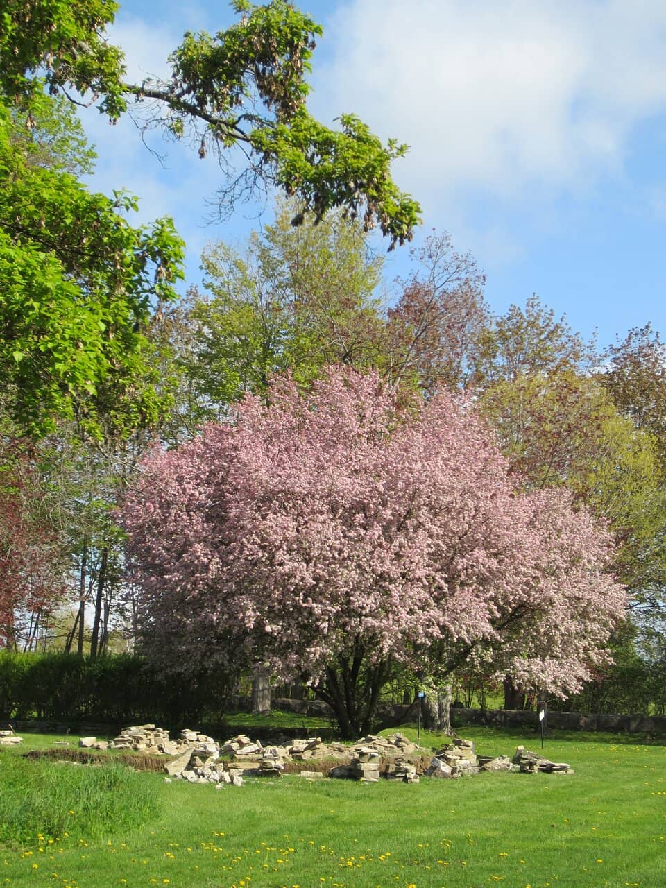 Expansive Estate Grounds