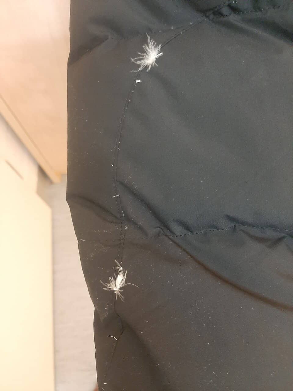 Home Goods and Accessories