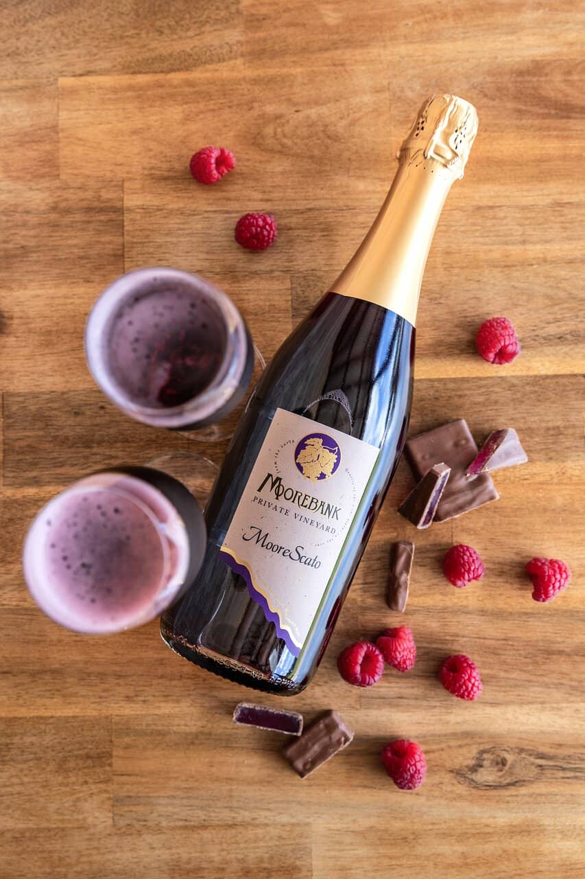 Meet Stella the Kelpie