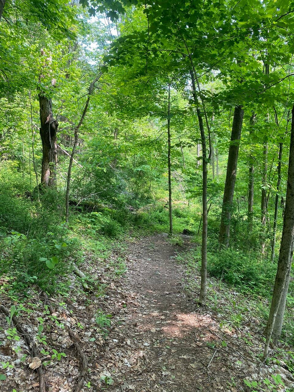 Unique Rock Formations