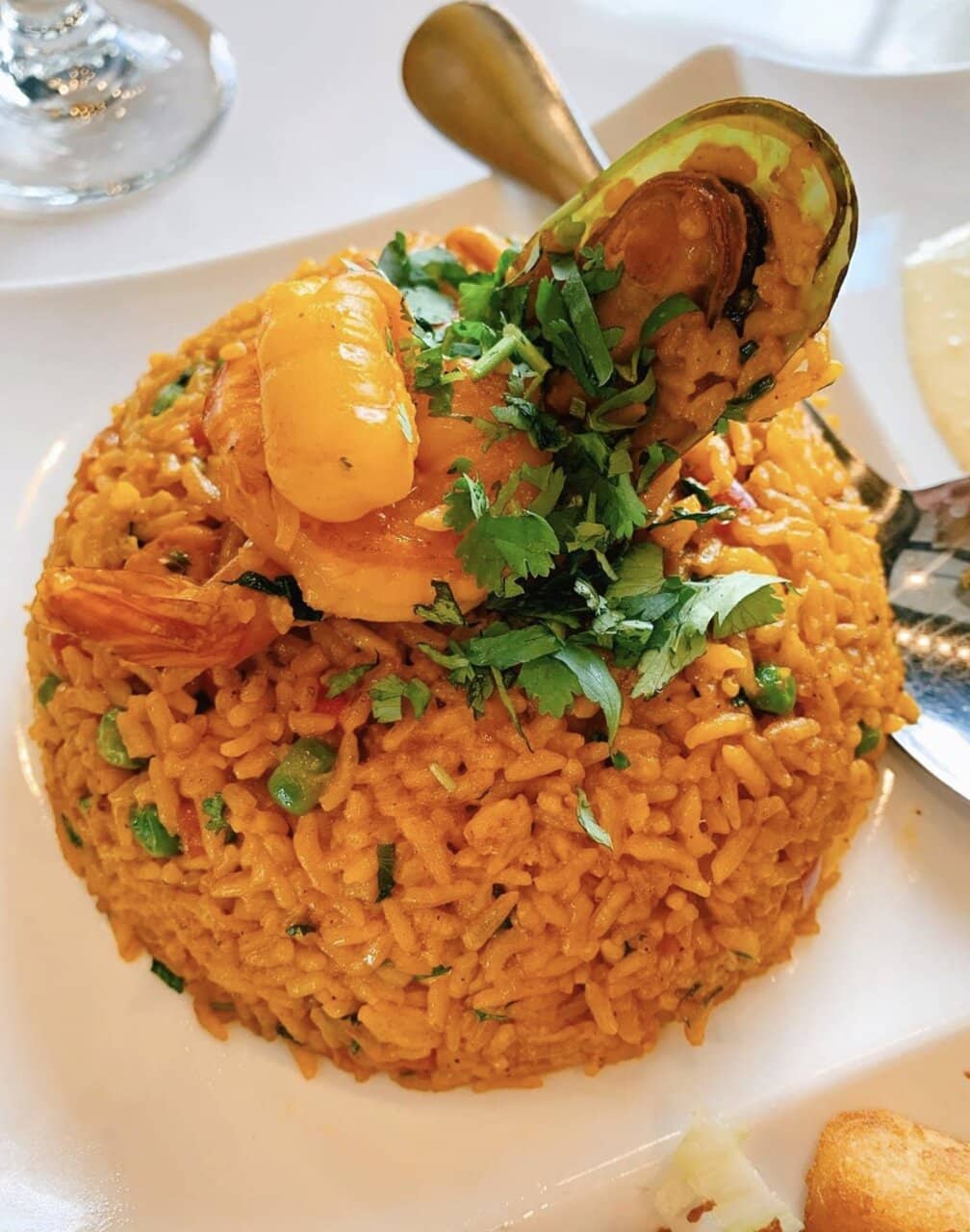 Wellness and Fitness Hub