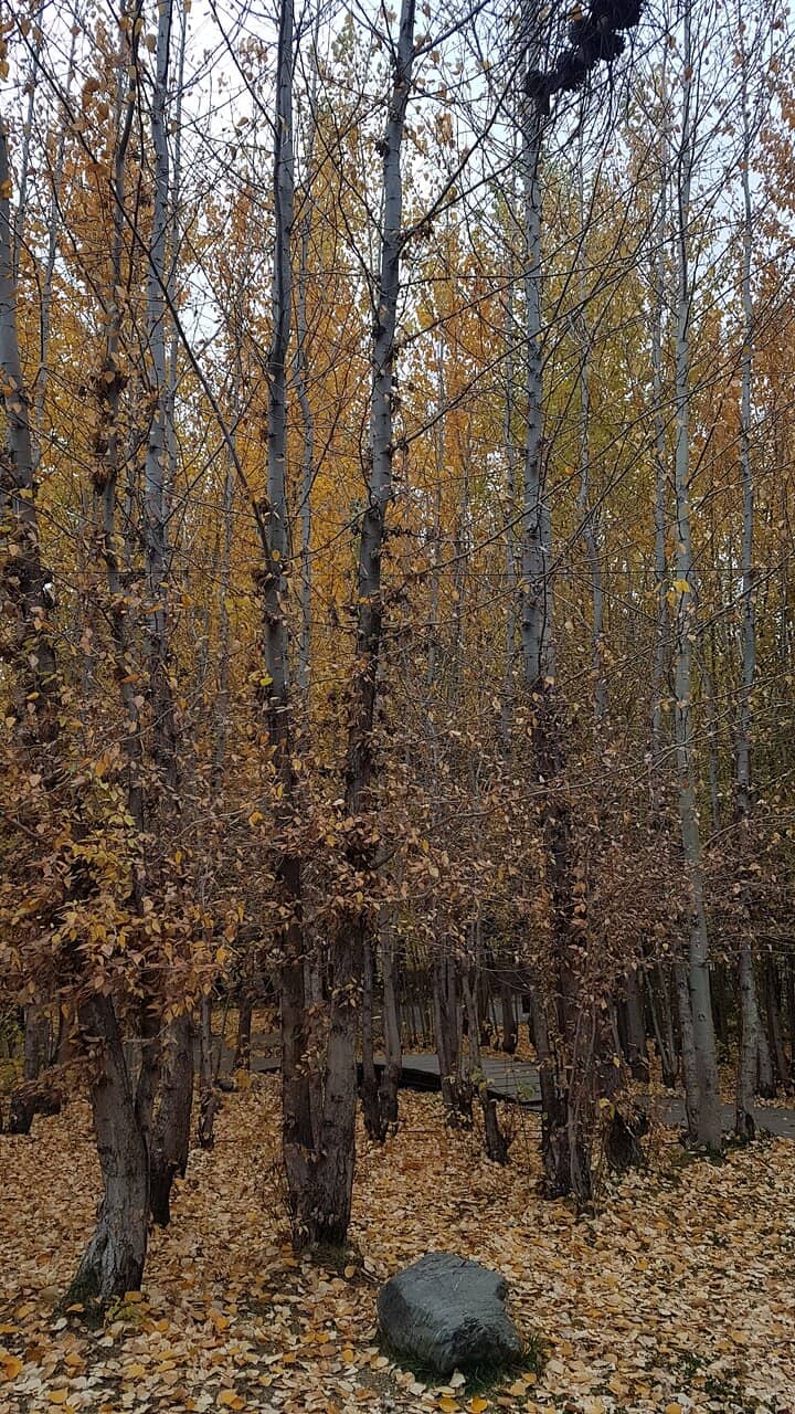 Vertical photo