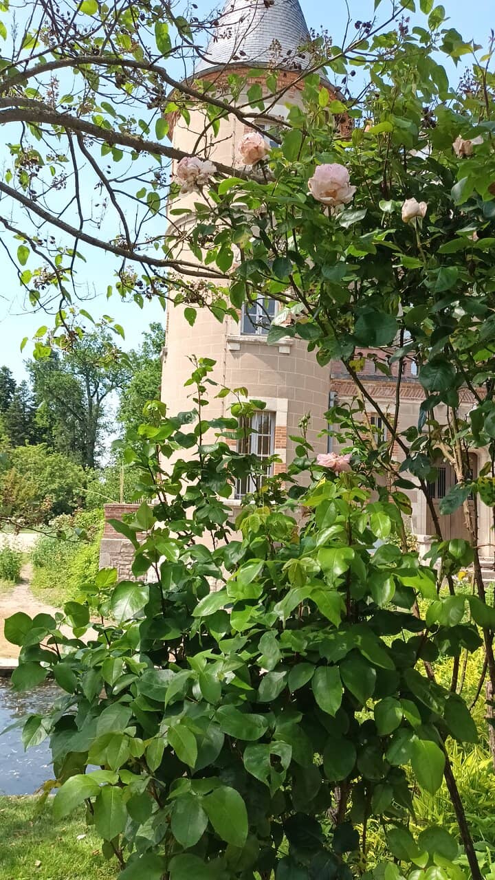 Plant Sales Weekends