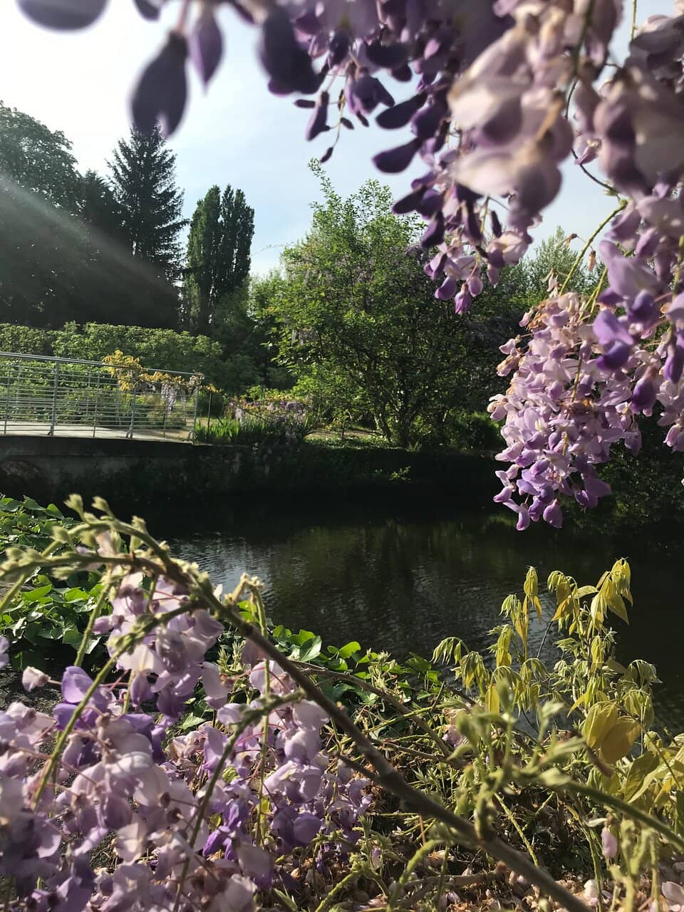The Chapel of Saint-Blaise-des-Simples