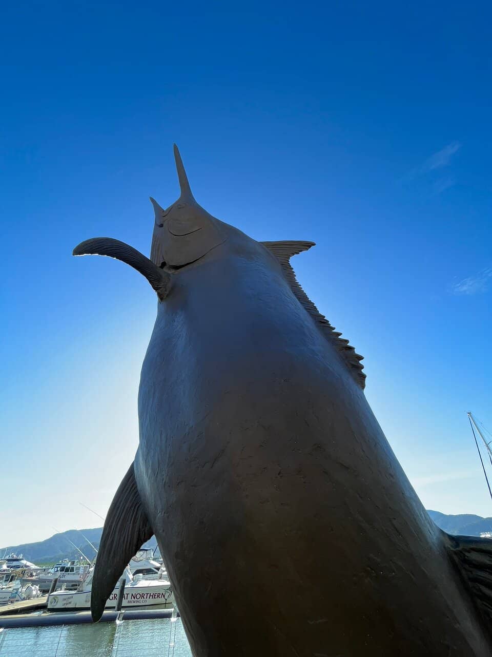 Great Barrier Reef Tour Hub