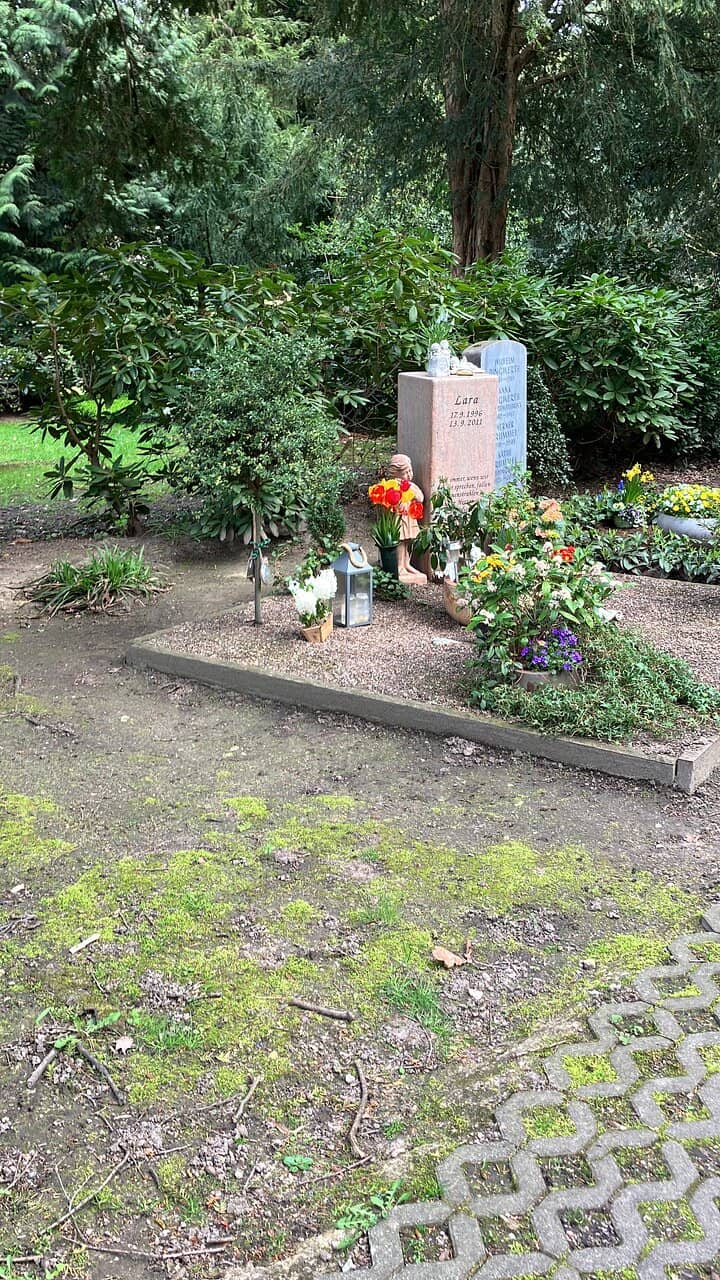 Tranquil Pond with Wildlife