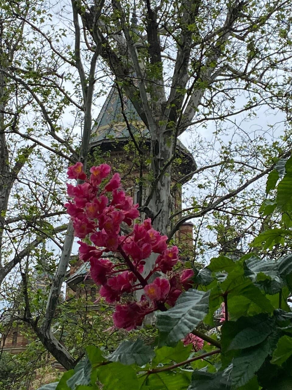 Riverside Relaxation