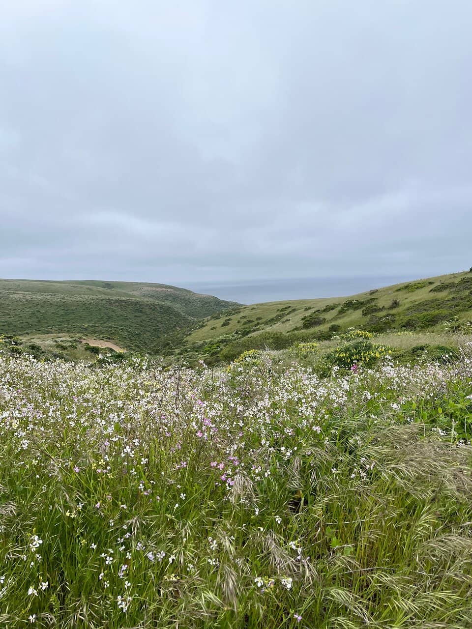 Historic Pierce Point Ranch