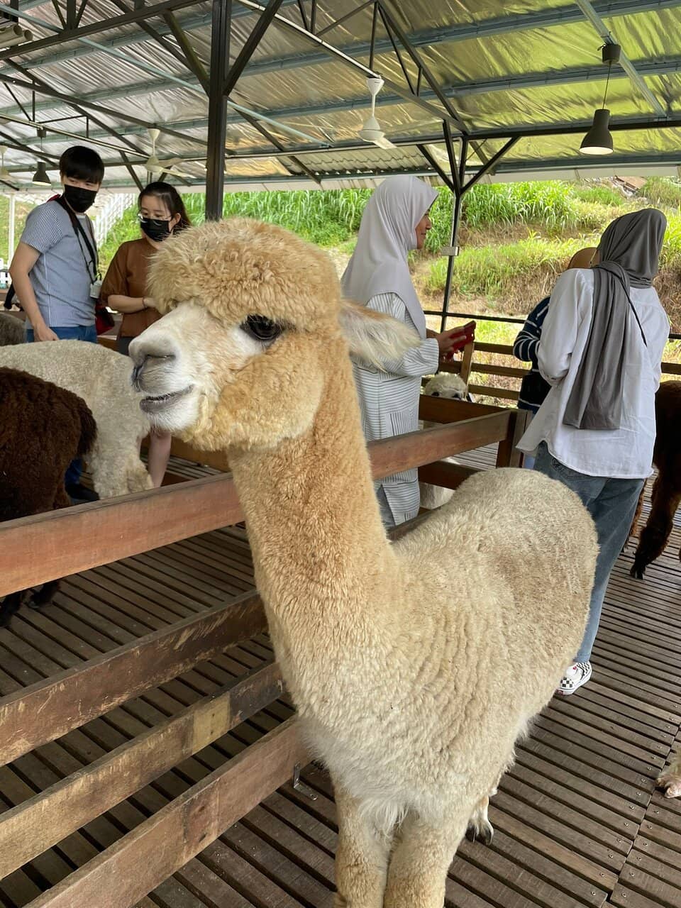 Photo Opportunities Galore