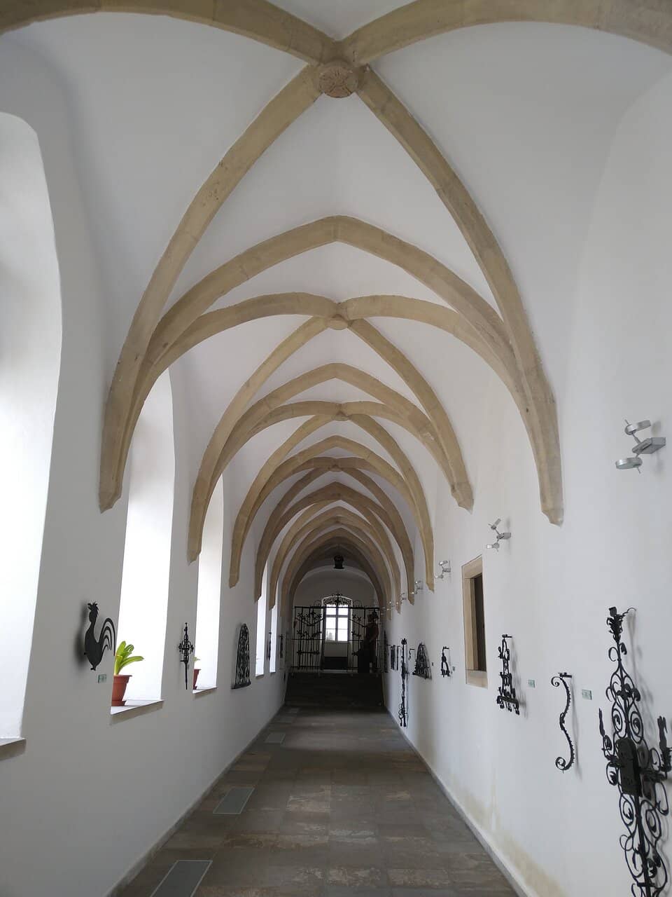 Nature of Znojmo Region