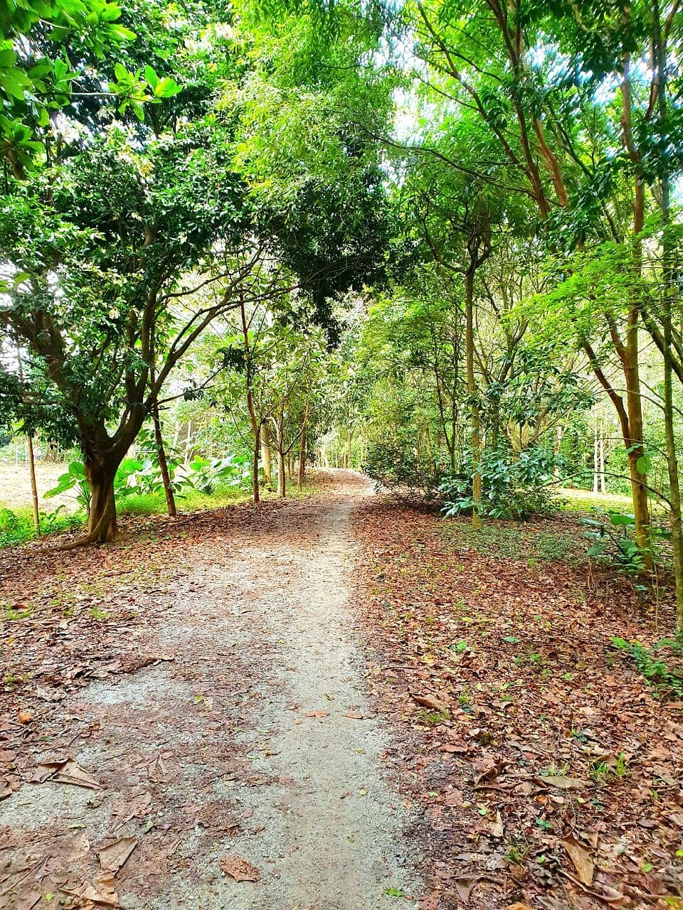 Adventure Playground