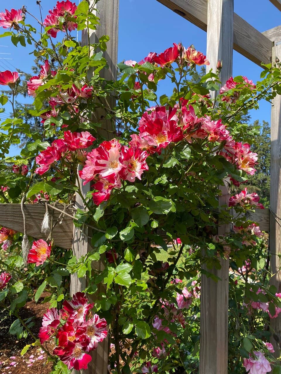 Unique Architectural Buildings