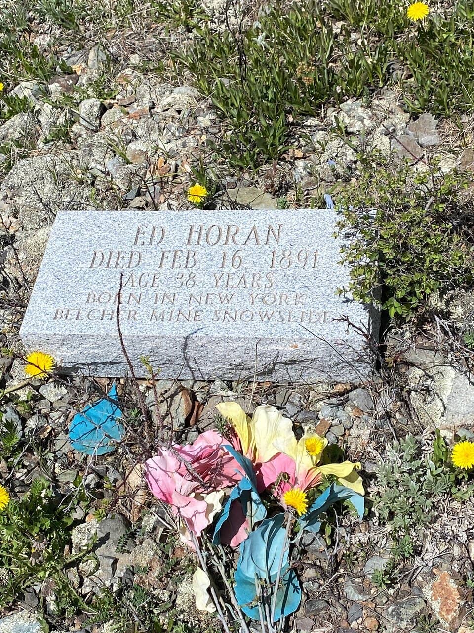 Panoramic Mountain Views