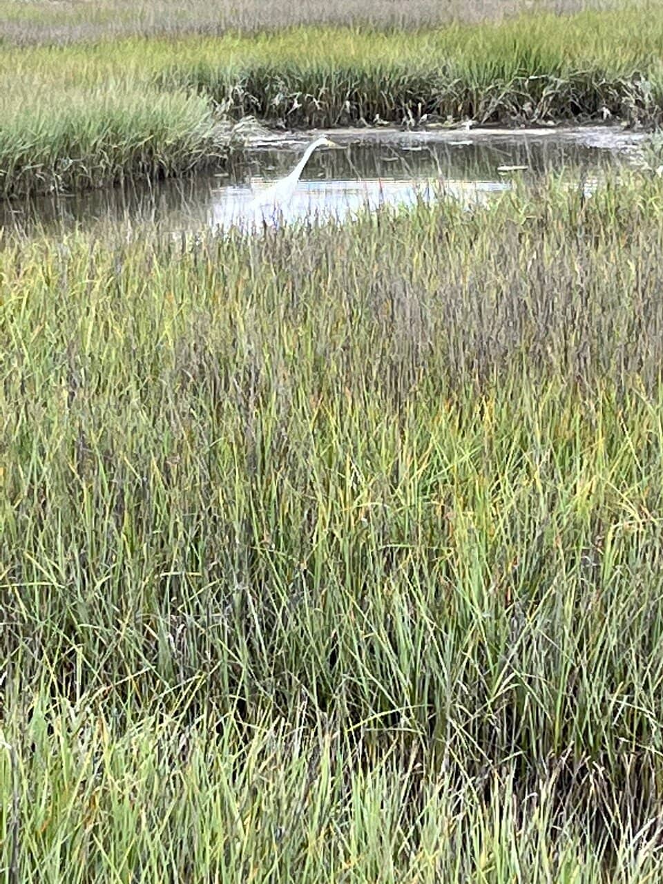 Lagoon Boardwalks & Trails