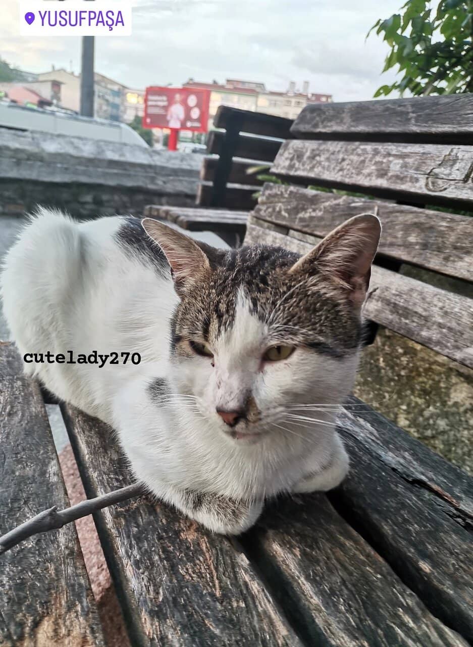 Ottoman Architecture