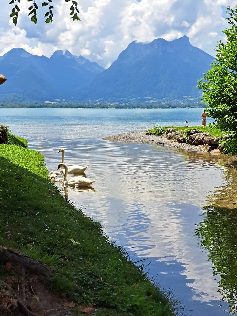 Shaded Lakeside Relaxation