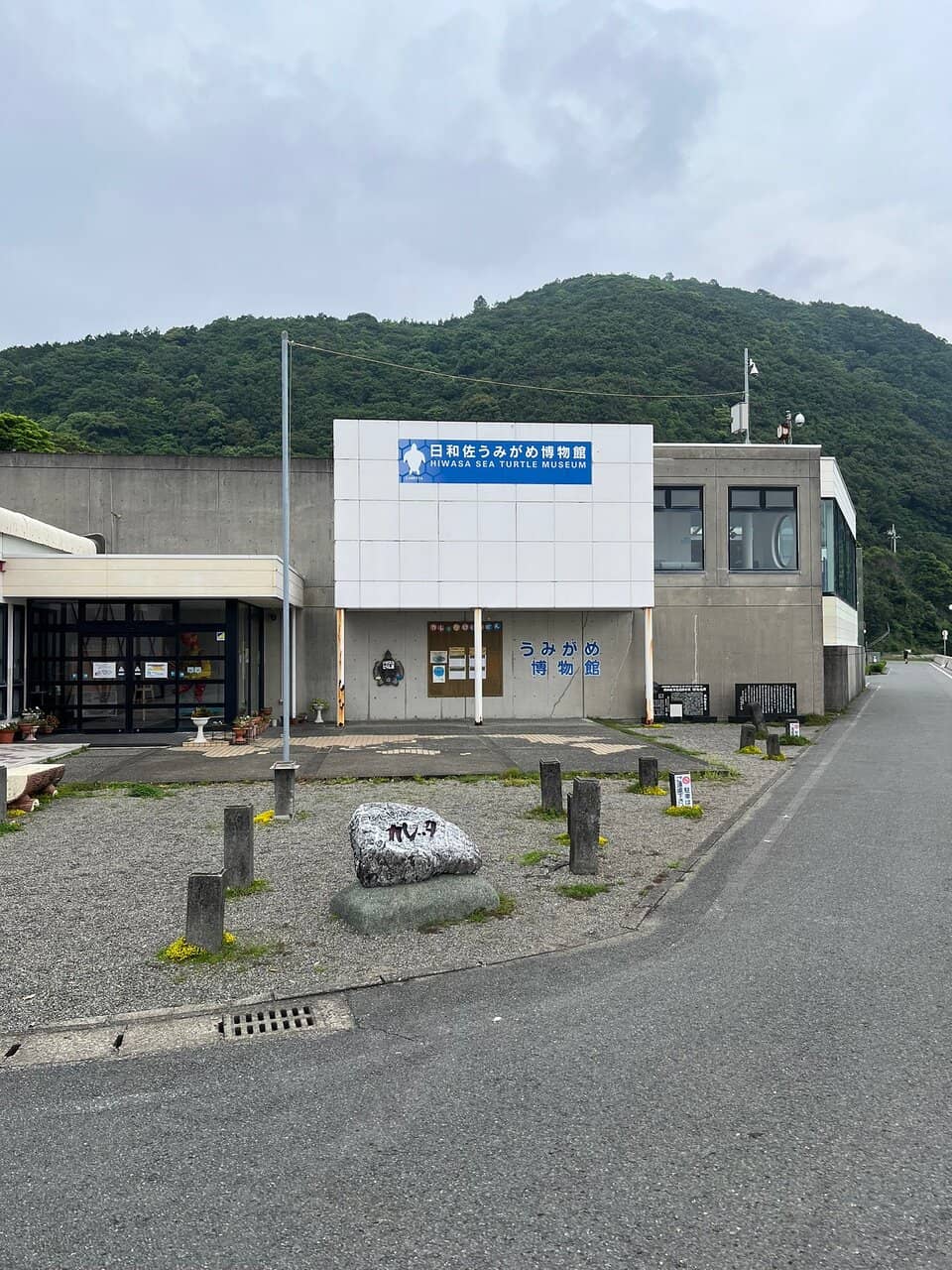 Sea Turtle Nesting Site