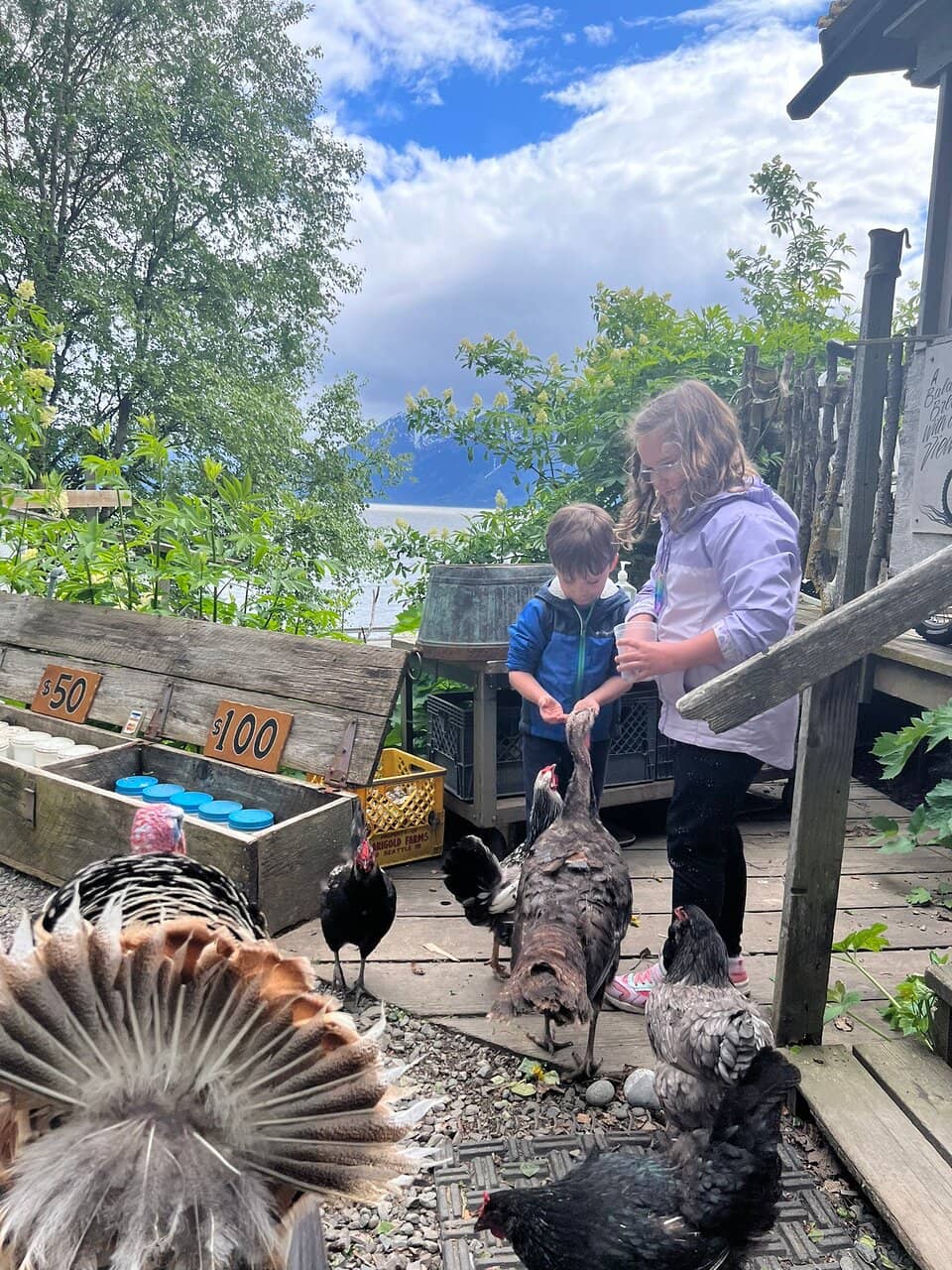 Meet the Friendly Owners