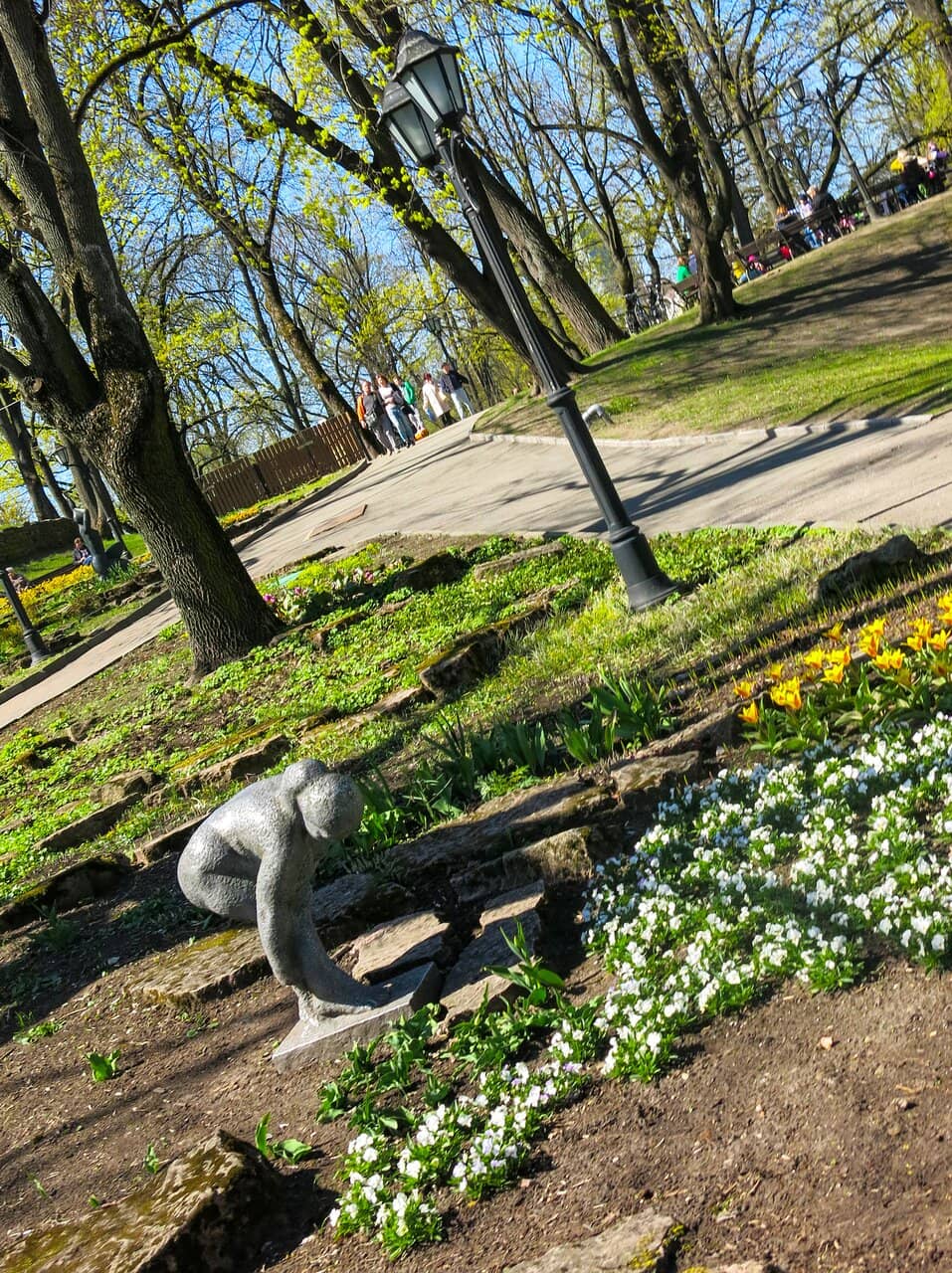 Lush Greenery & Flowers