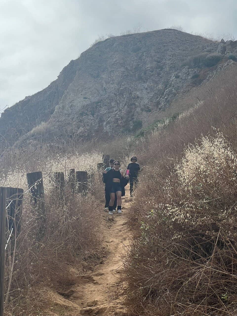 Rocky Shoreline Exploration