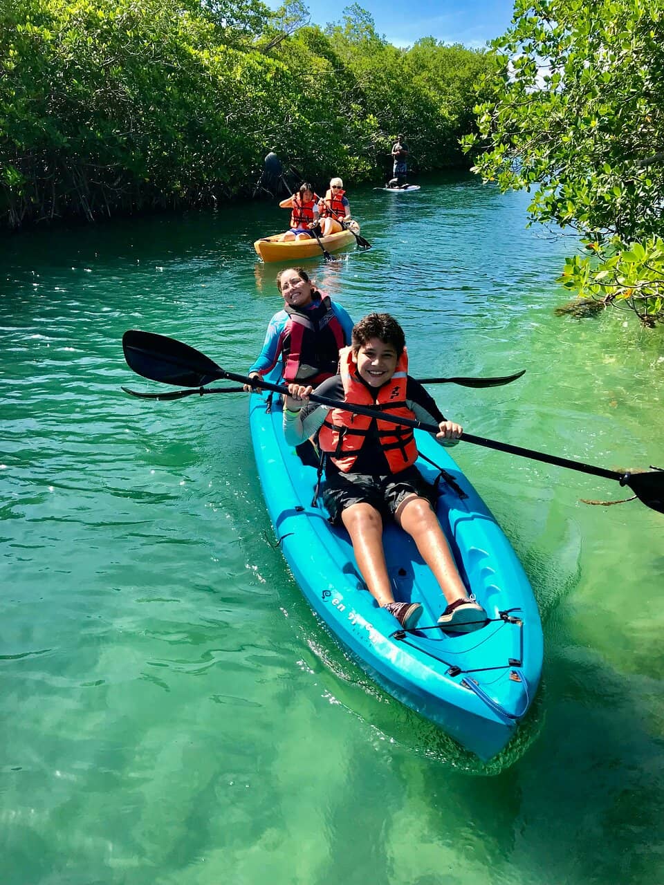 Mangrove Exploration