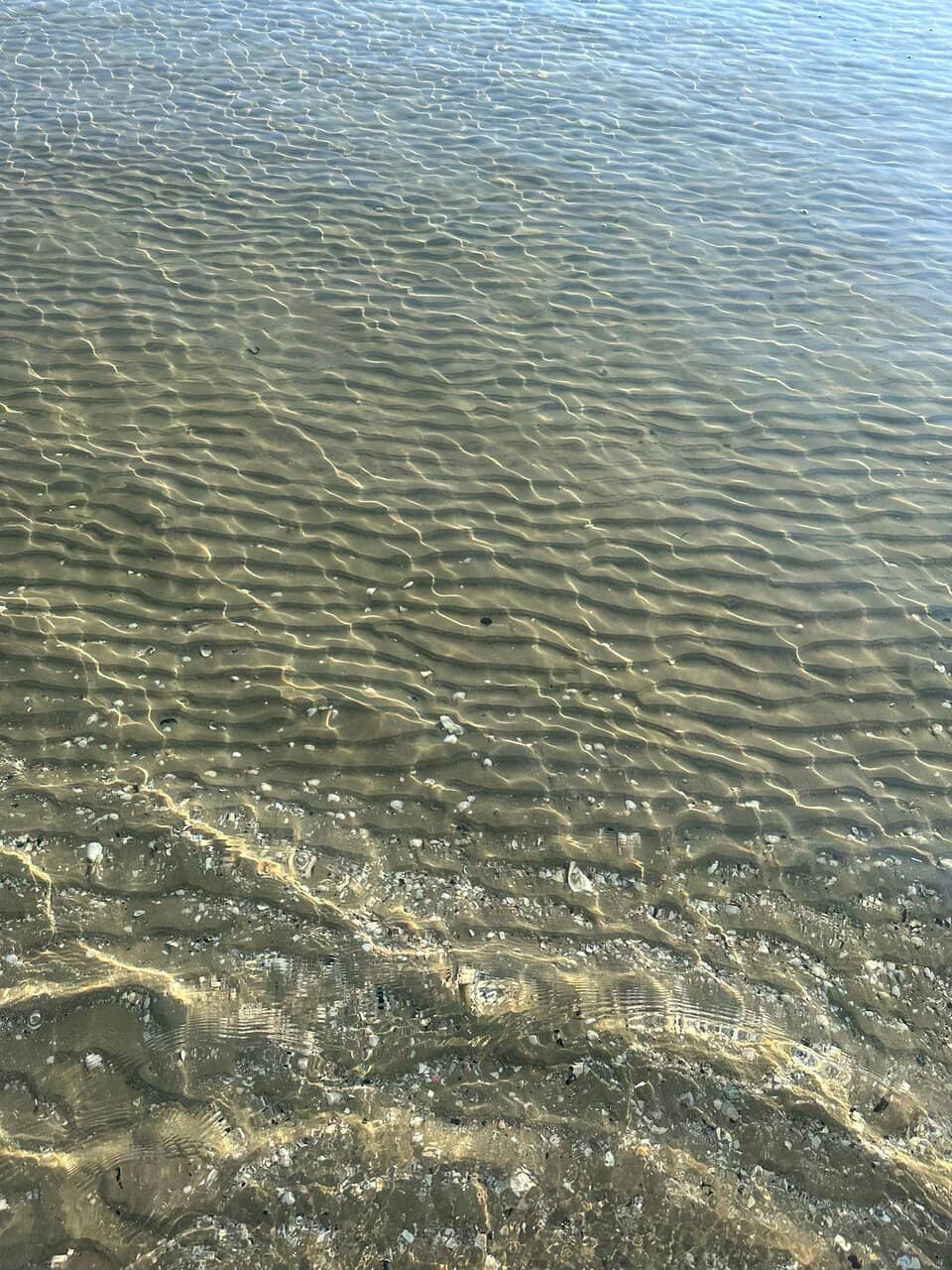 Vibrant Beachfront Events