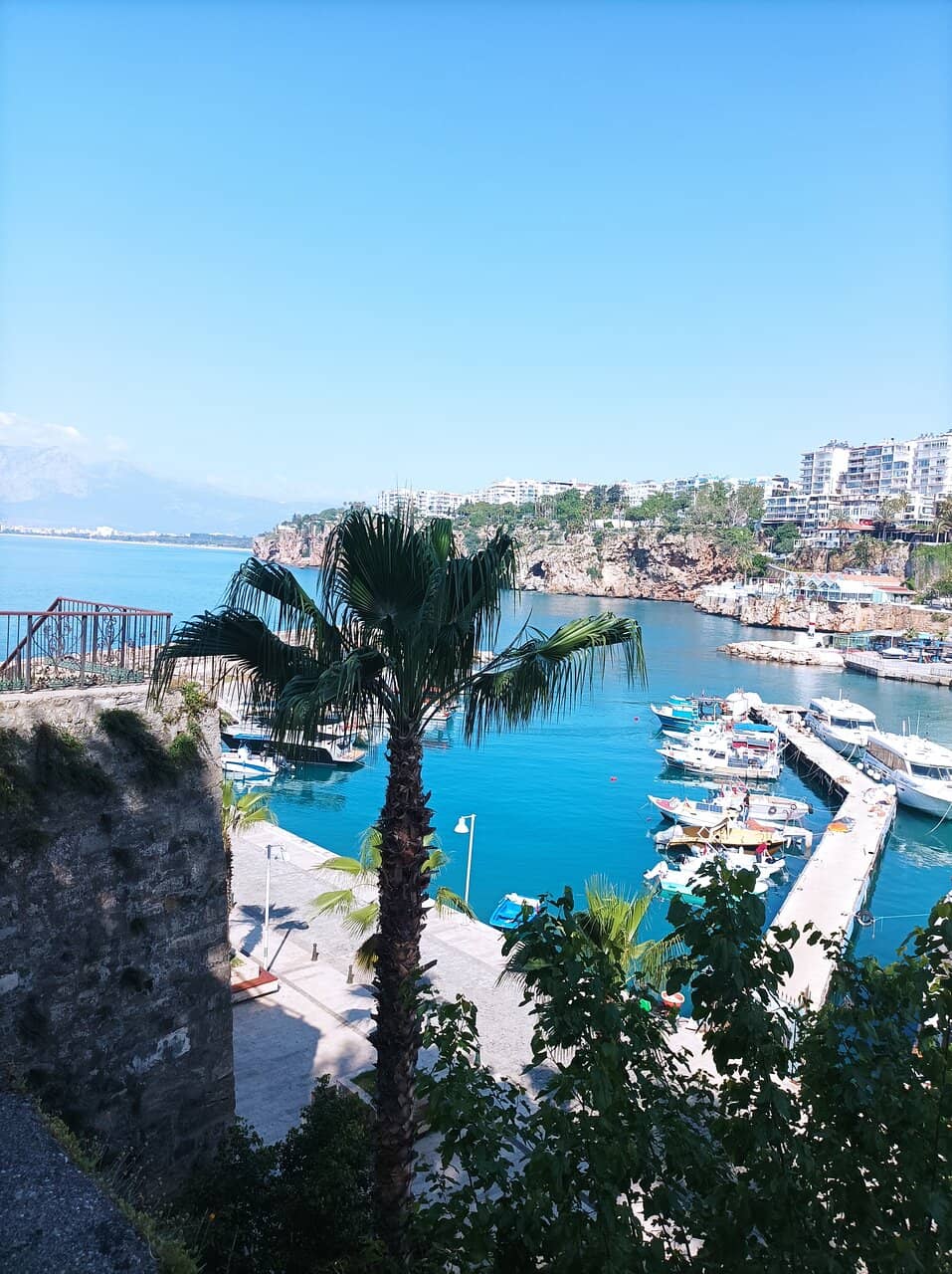 Horseback Riding through Nature