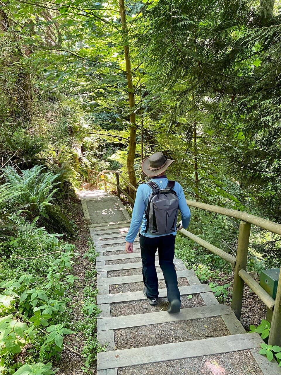 Brighton Bathing Boxes