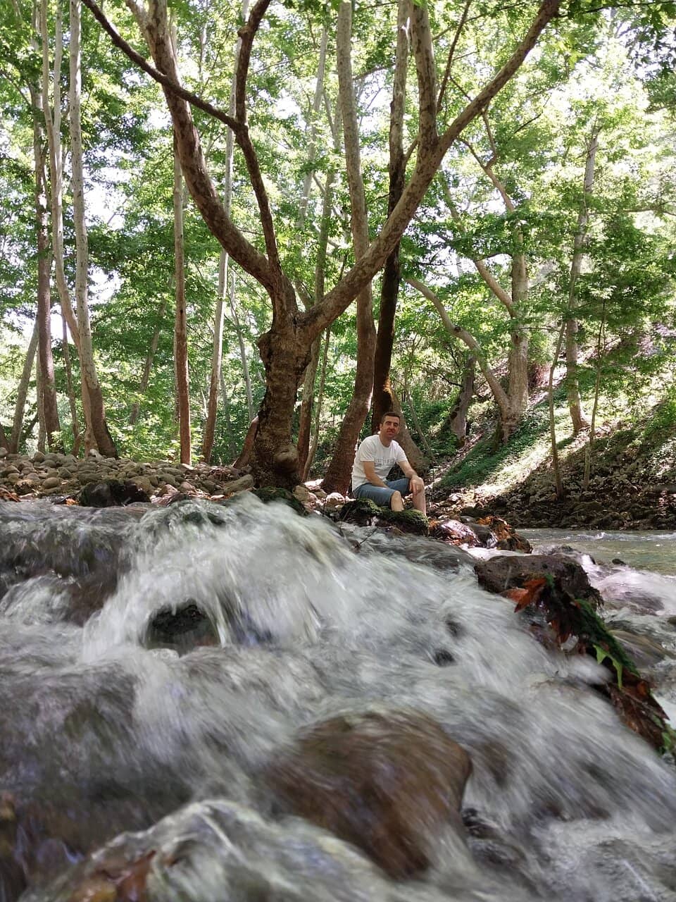 Scenic Hiking Trails