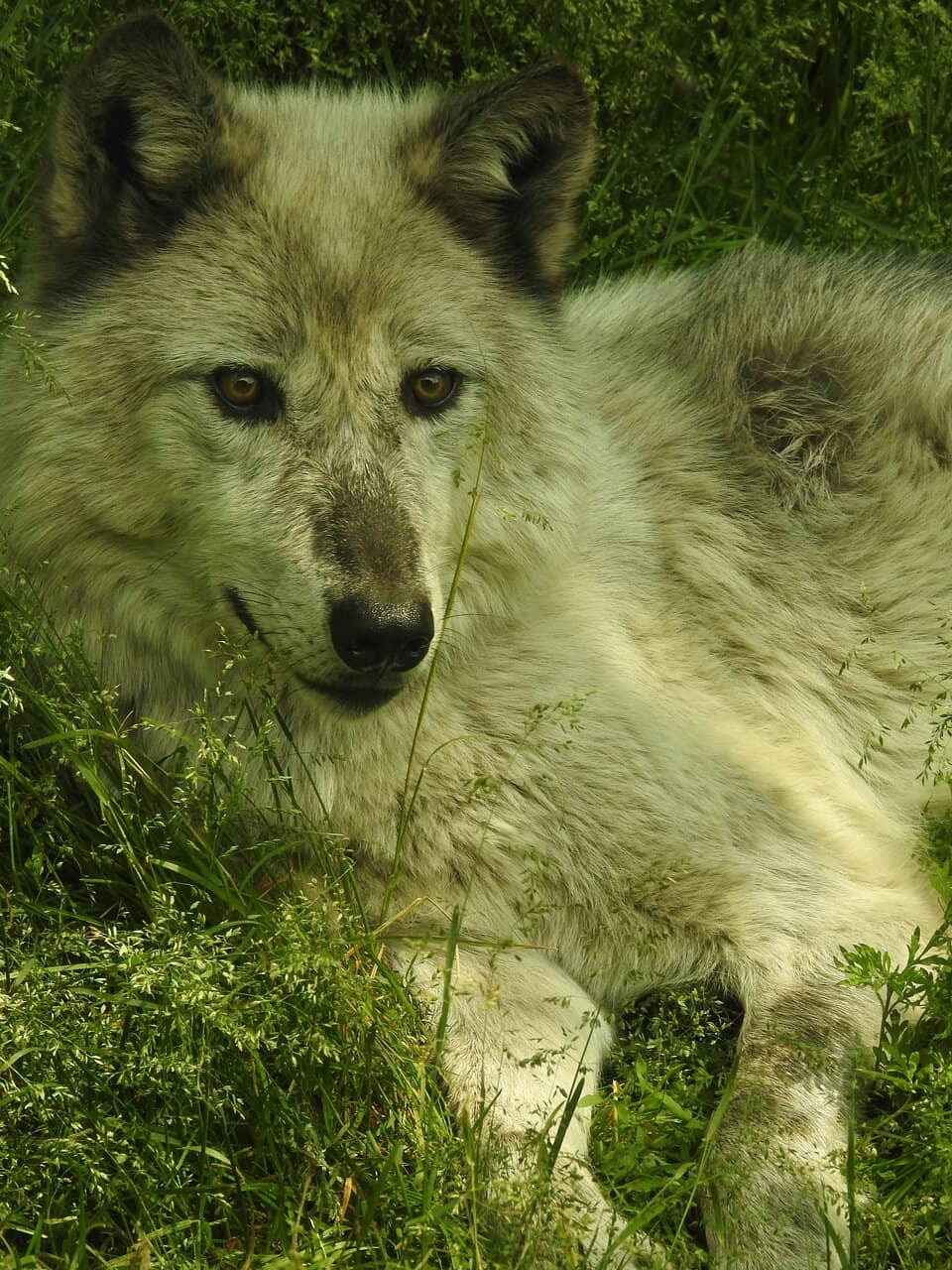 Educational Exhibits