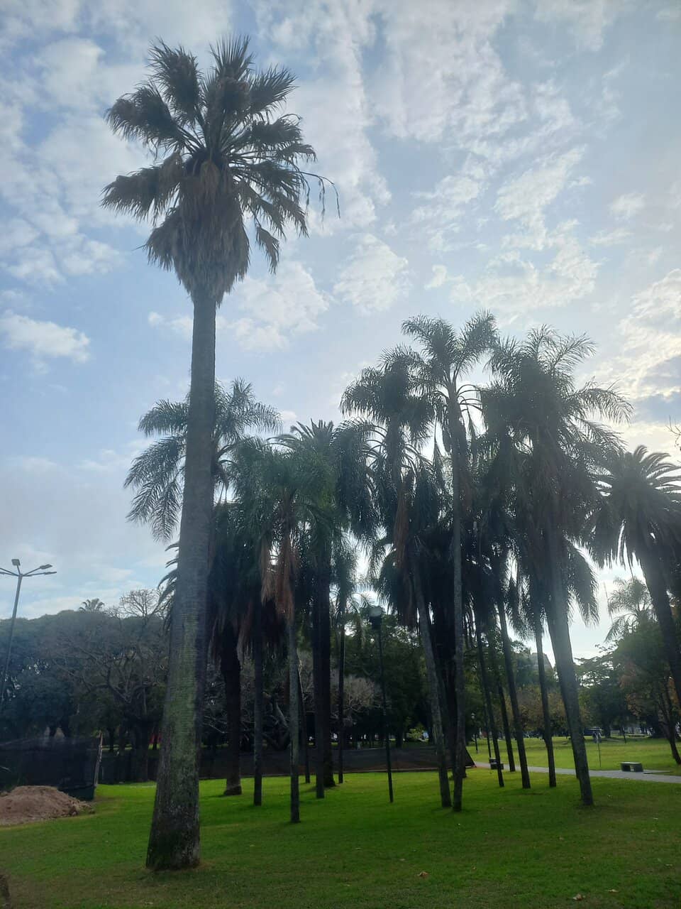 Outdoor Gym Equipment