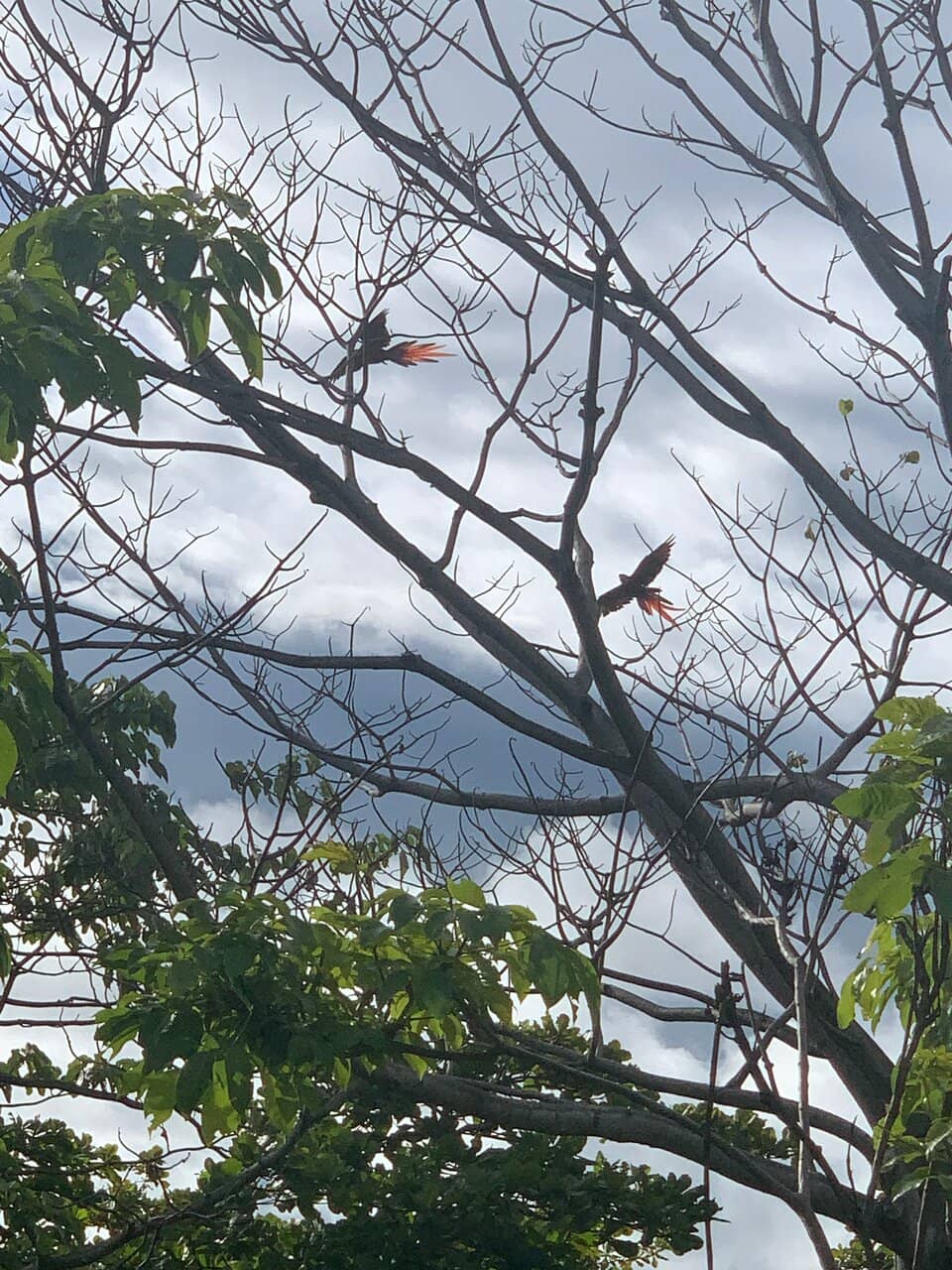 Panoramic Ocean Vistas