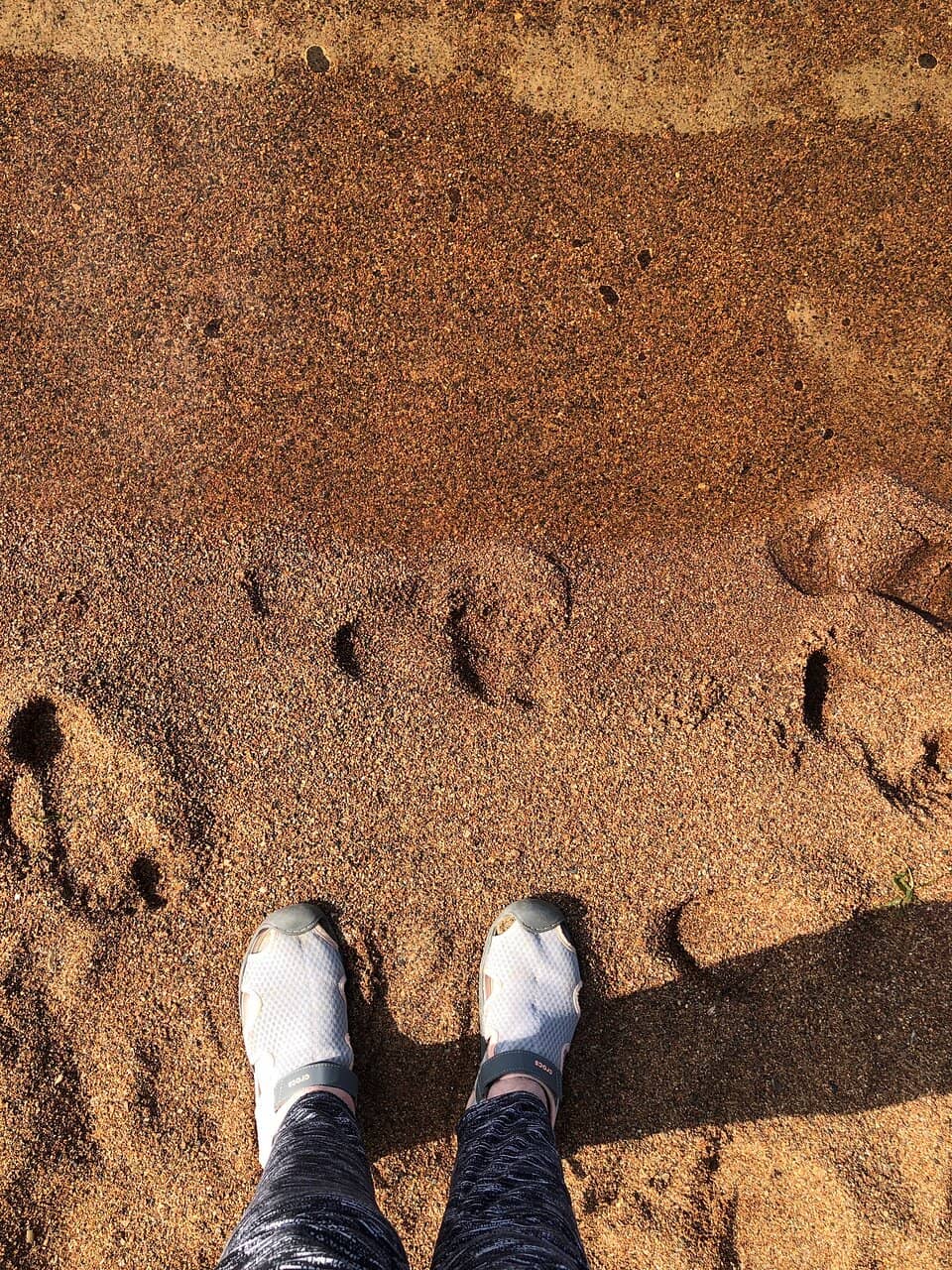 Agawa Crafts & The Canadian Carver