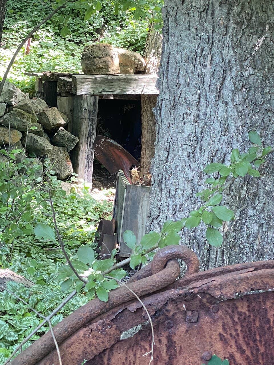 Hal's Artistic Studio