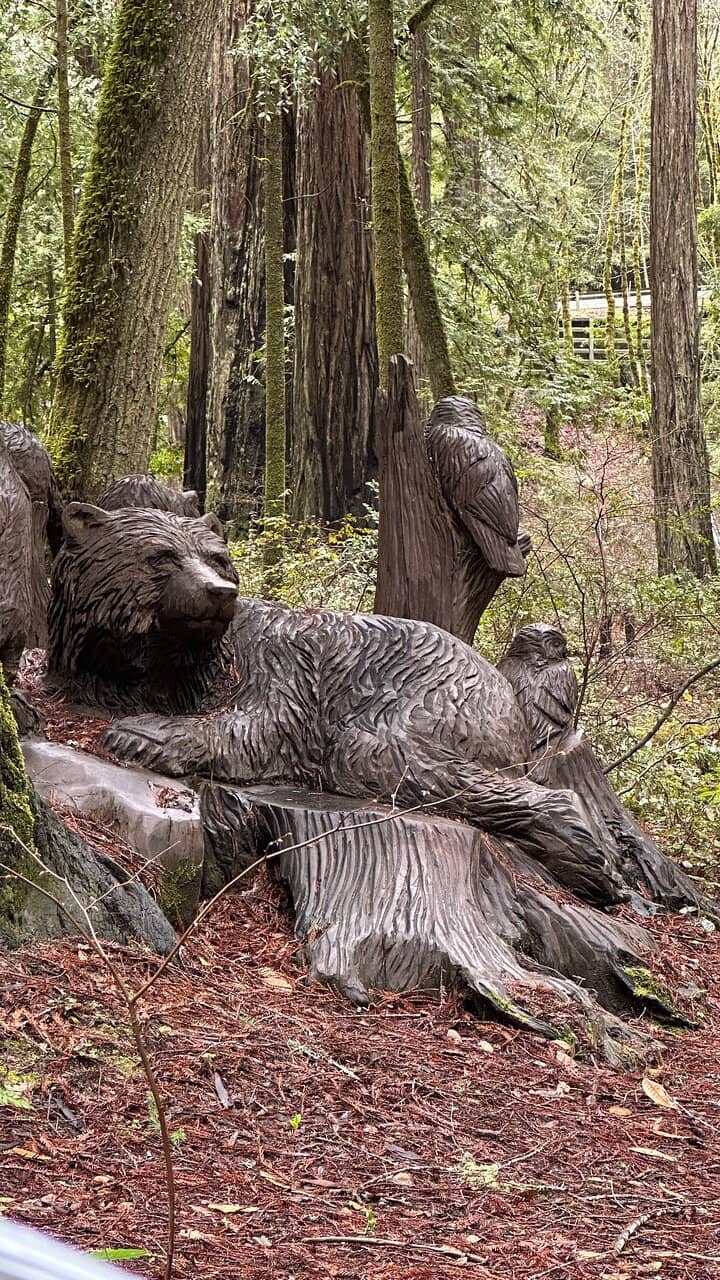 Chainsaw Wood Sculptures