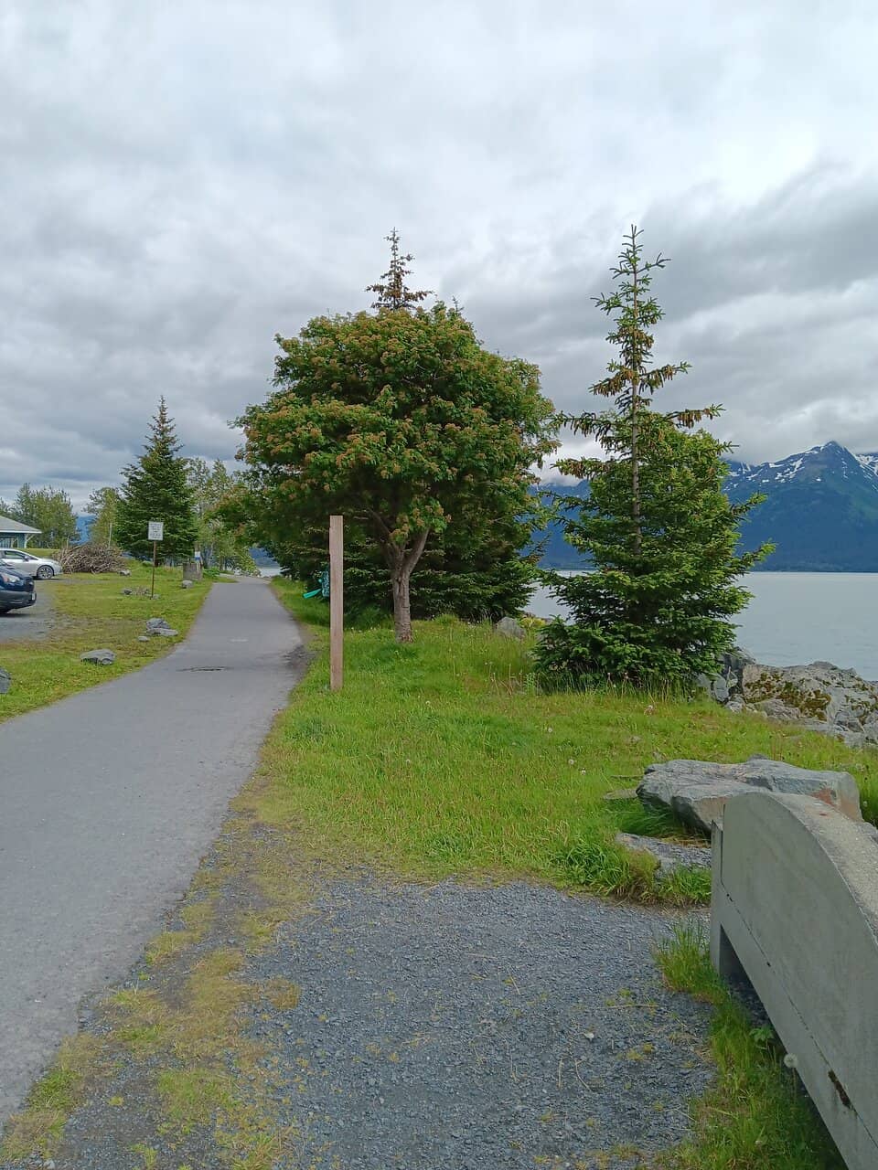 Boats and Marine Life