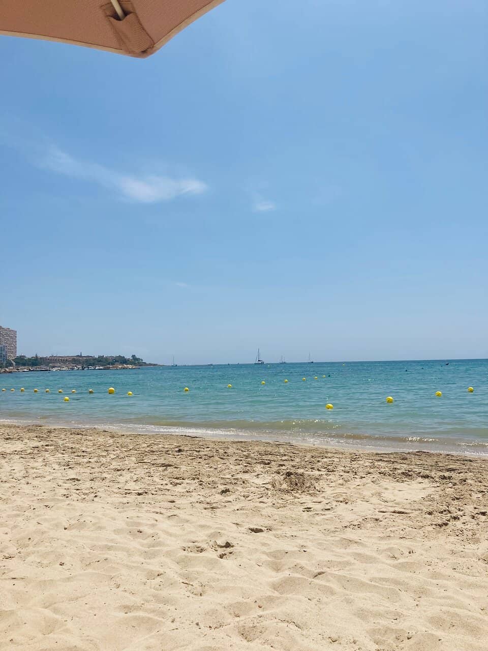 Family-Friendly Playground