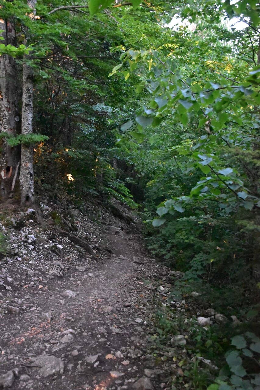 Panoramic Lake Annecy View