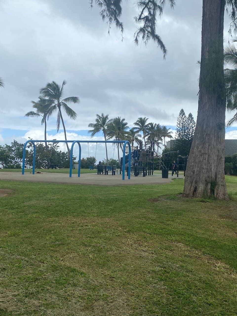 Marine Life Encounters