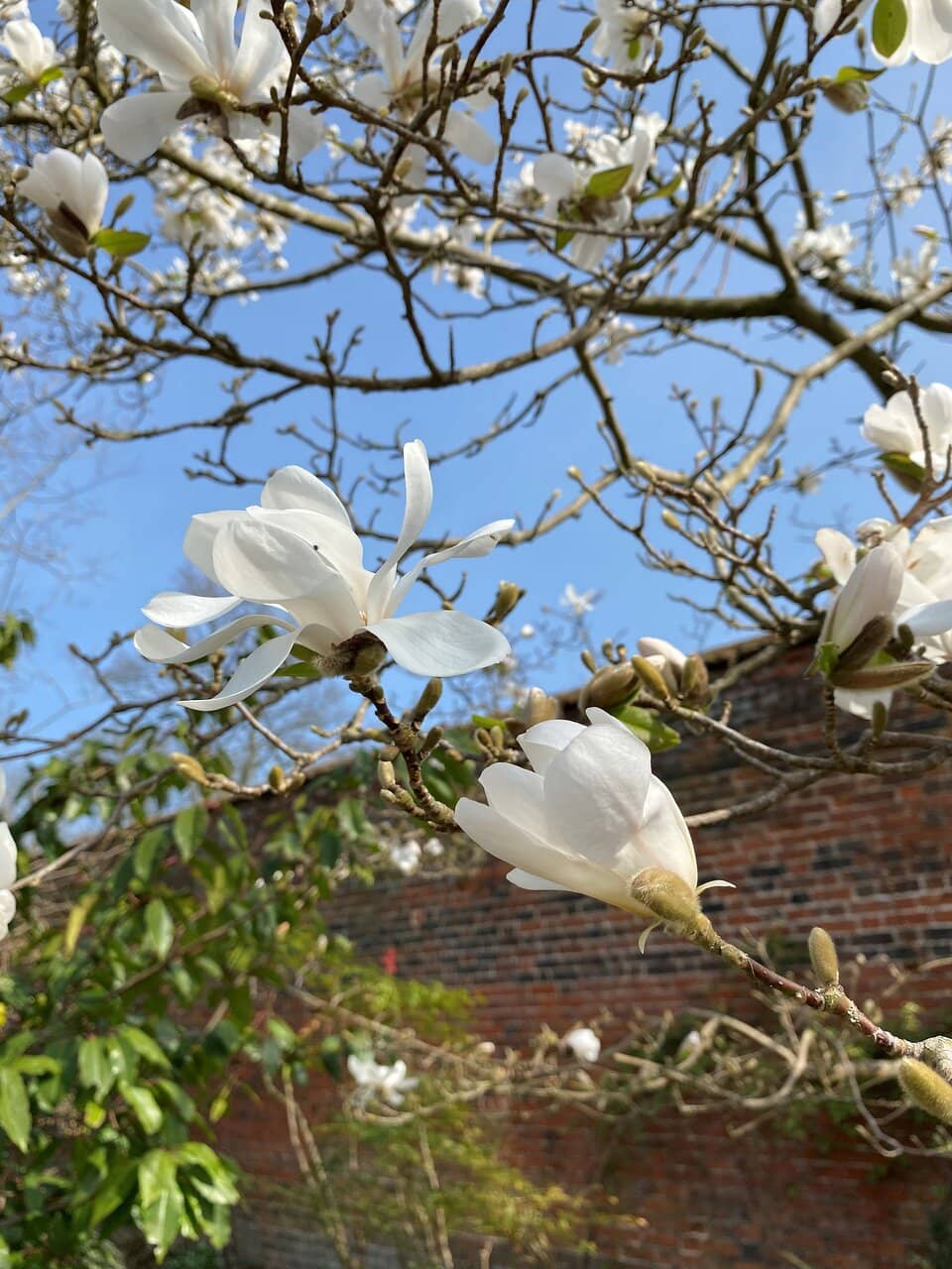 Local History Exhibits