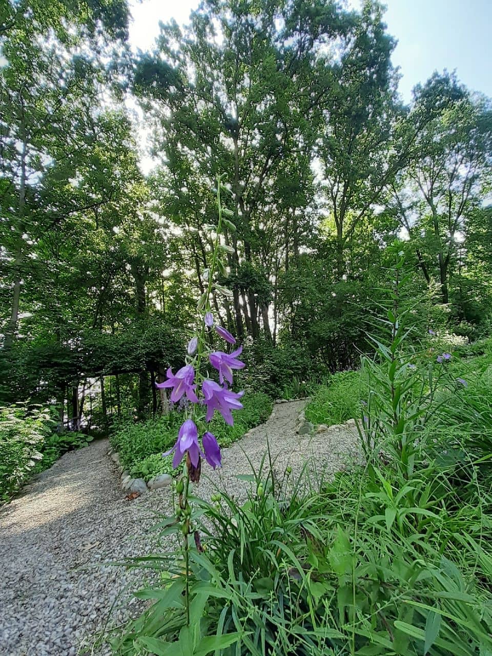 Limberlost Wetlands Preserve