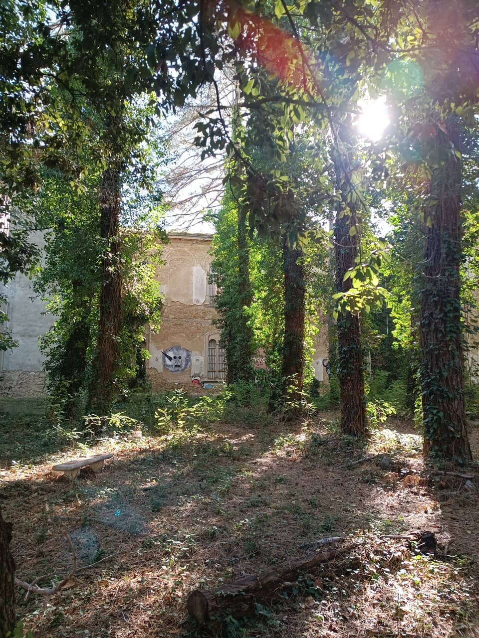 The Grounds and Architecture