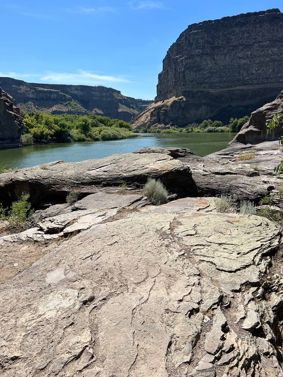 Snake River Kayaking/Paddleboarding