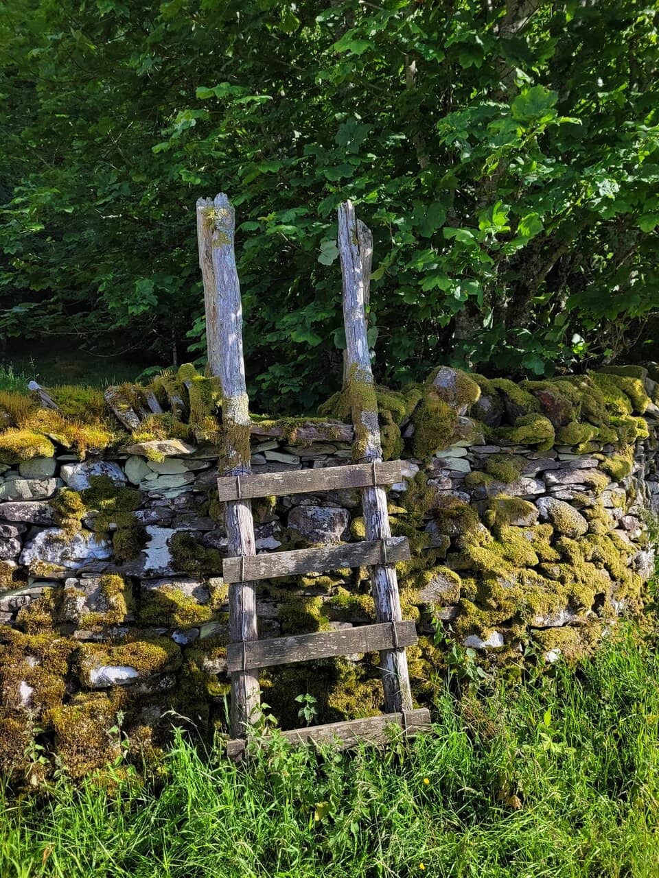 Spectacular Upper Falls