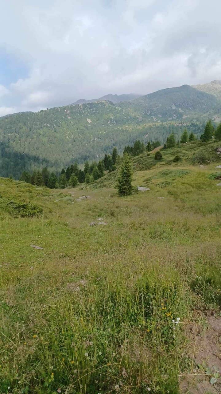 Capanna Passo Valles Refuge