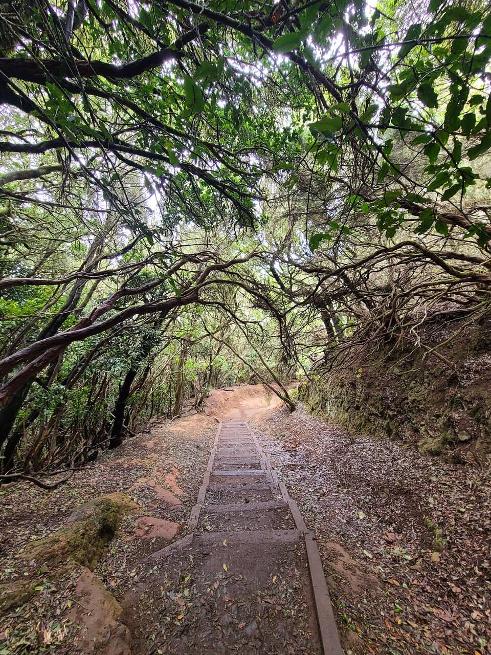 Panoramic Viewpoints