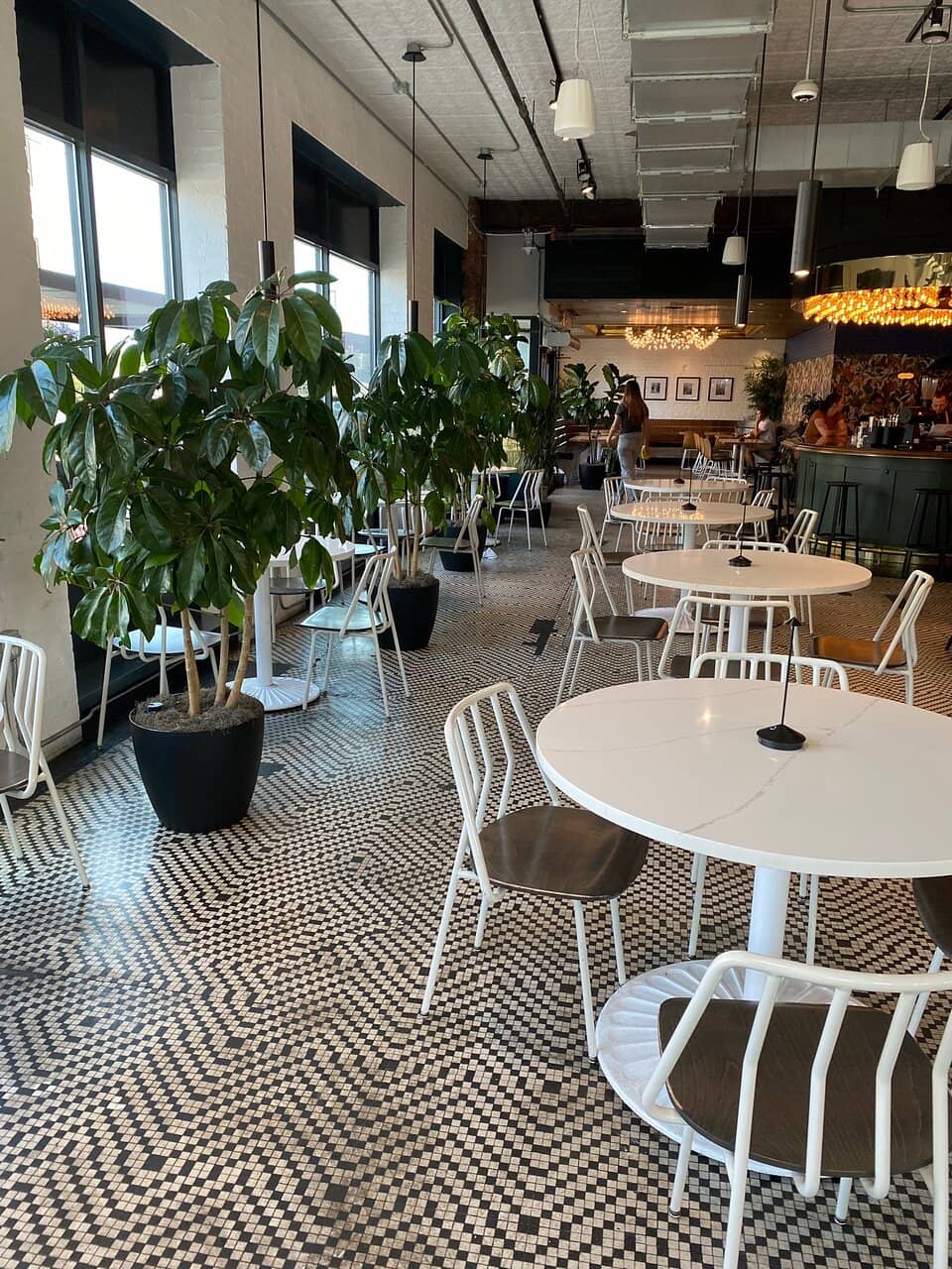 Elegant & Casual Ambiance